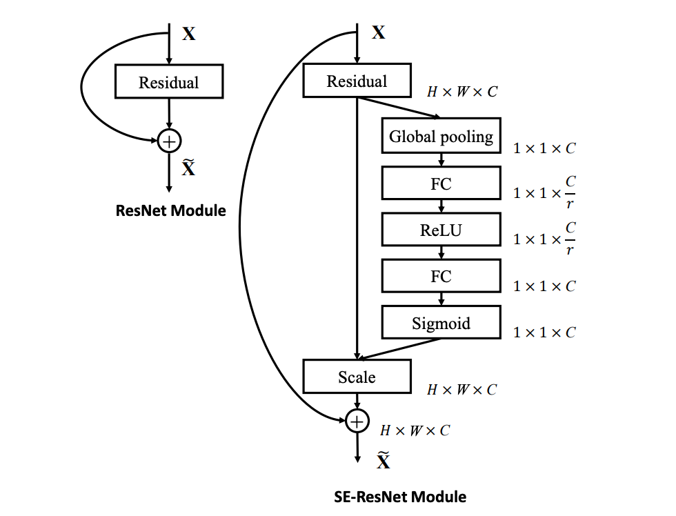 Squeeze and excitation module